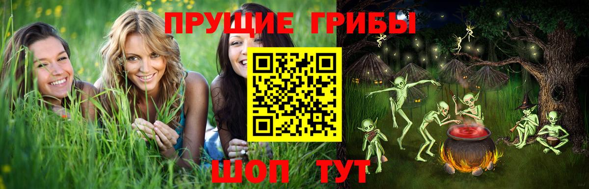 Псилоцибиновые грибы прущие грибы  Вход с VPN  Глазов  Галлюциногенные грибы GOLDEN TEACHER 